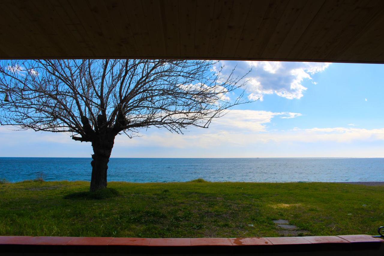 הוילה מסקלי House On The Sea מראה חיצוני תמונה